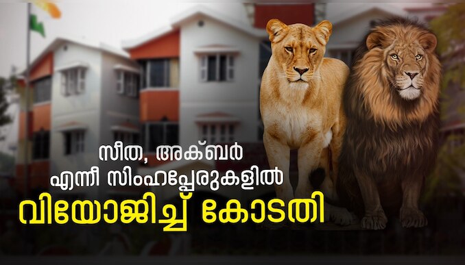 Seeta Lion Name Controversy: സിംഹത്തിനാരെങ്കിലും സീത, അക്ബർ എന്നൊക്കെ പേരിടുമോ..? പേര് മാറ്റാൻ ഉത്തരവിട്ട് കോടതി