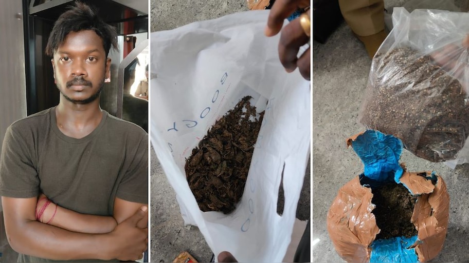 Drugs Seized: മരുന്ന് വിൽപനയുടെ മറവിൽ ലഹരി മരുന്ന് വിൽപന; മെഡിക്കൽ റെപ്രസെന്ററ്റീവ് പിടിയിൽ