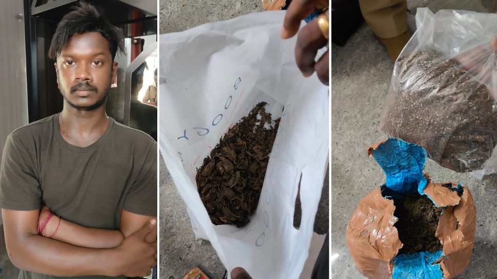 Drugs Seized: മരുന്ന് വിൽപനയുടെ മറവിൽ ലഹരി മരുന്ന് വിൽപന; മെഡിക്കൽ റെപ്രസെന്ററ്റീവ് പിടിയിൽ Drugs Seized: മരുന്ന് വിൽപനയുടെ മറവിൽ ലഹരി മരുന്ന് വിൽപന; മെഡിക്കൽ റെപ്രസെന്ററ്റീവ് പിടിയിൽ