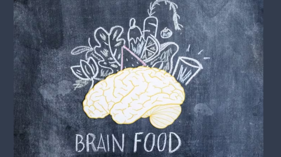 Brain Health in Children: കുട്ടികളിലെ ബുദ്ധിയും ഏകാഗ്രതയും വർദ്ധിപ്പിക്കണോ...? ഈ 5 കാര്യങ്ങളിൽ ശ്രദ്ധ വേണം Brain Health in Children: കുട്ടികളിലെ ബുദ്ധിയും ഏകാഗ്രതയും വർദ്ധിപ്പിക്കണോ...? ഈ 5 കാര്യങ്ങളിൽ ശ്രദ്ധ വേണം