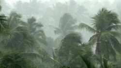 Kerala weather: ഈ പ്രവചനം അച്ചട്ടാകണേ...; ഇന്ന് 8 ജില്ലകളിലും നാളെ 3 ജില്ലകളിലും മഴയ്ക്ക് സാധ്യത