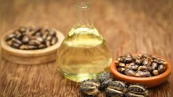 Best Oil for Hair Growth: ആവണക്കെണ്ണ ഉപയോഗിച്ചു നോക്കൂ, മുടി പനങ്കുല പോലെ വളരും!! 
