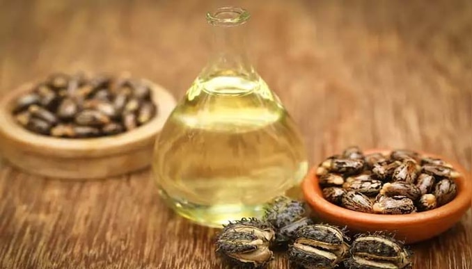 Best Oil for Hair Growth: ആവണക്കെണ്ണ ഉപയോഗിച്ചു നോക്കൂ, മുടി പനങ്കുല പോലെ വളരും!! 