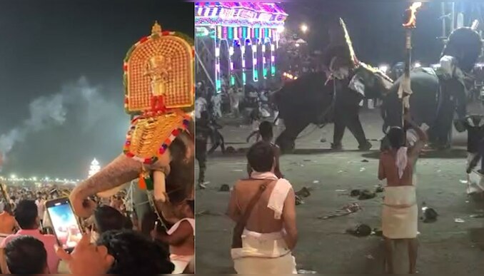 Arattupuzha Pooram Elephant Attack | ആനകൾ കൊമ്പ് കോർത്തു, പിന്നെ നടന്നത് യുദ്ധം