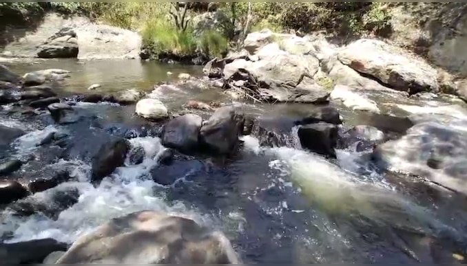 Pambar: കൊടും വേനലിലും ജലസമൃദ്ധം; നട്ടുച്ച നേരത്തും കുളിരേകി ഒഴുകുന്ന പാമ്പാര്‍