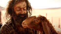 Aadujeevitham Box Office: രണ്ട് ദിവസം എത്രനേടി ആട് ജീവിതം? കണക്ക് നോക്കിയാൽ ഞെട്ടും