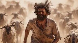 Aadujeevitham Box Office: ആട് ജീവിതം ബോക്സോഫീസ്, മൂന്ന് ദിവസം കൊണ്ട് ചിത്രം നേടിയത്