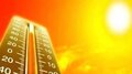 Kerala Weather Updates: സംസ്ഥാനത്ത് കനത്ത ചൂട് തുടരും; 12 ജില്ലകളിൽ യെല്ലോ അലർട്ട്