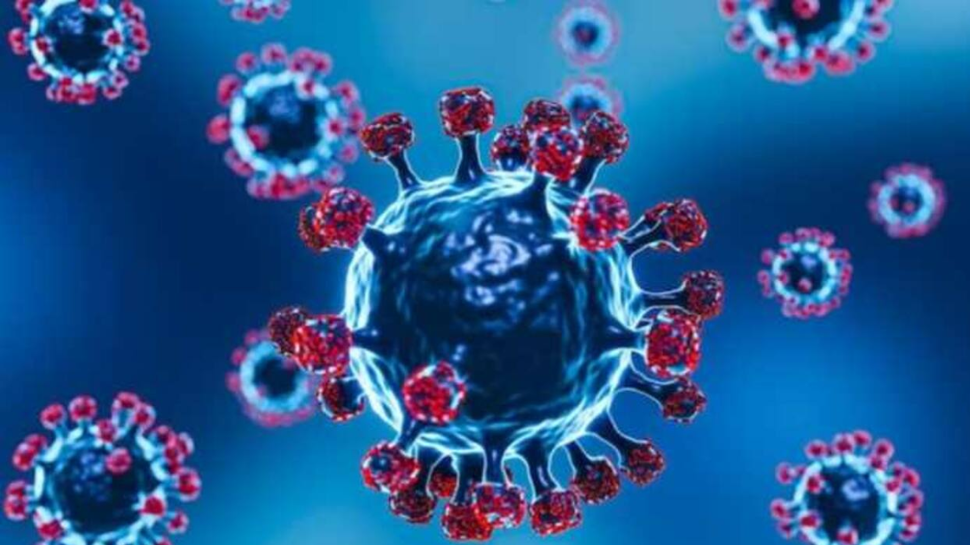 Variant virus of bird flu alert: കോവിഡിനേക്കാൾ 100 ഇരട്ടി ഭീകരൻ; ബാധിച്ചാൽ മരണം ഉറപ്പ്! മുന്നറിയിപ്പു നൽകി ആരോഗ്യ വിദഗ്ധർ Variant virus of bird flu alert: കോവിഡിനേക്കാൾ 100 ഇരട്ടി ഭീകരൻ; ബാധിച്ചാൽ മരണം ഉറപ്പ്! മുന്നറിയിപ്പു നൽകി ആരോഗ്യ വിദഗ്ധർ