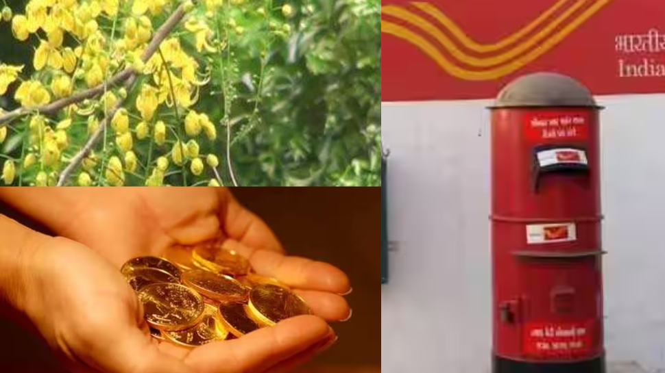 Vishu 2024 Kaineetam Via Post: വിഷുപ്പുലരിയിൽ കൈനീട്ടം തപാൽ വഴി വീട്ടിലെത്തും! ചേയ്യേണ്ടത് ഇത്രമാത്രം Vishu 2024 Kaineetam Via Post: വിഷുപ്പുലരിയിൽ കൈനീട്ടം തപാൽ വഴി വീട്ടിലെത്തും! ചേയ്യേണ്ടത് ഇത്രമാത്രം