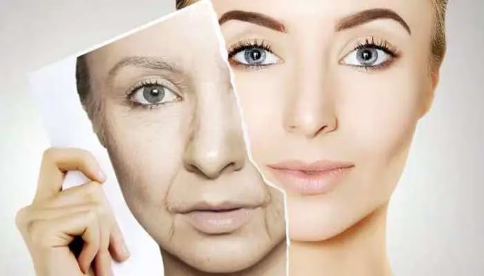 Anti Ageing: പ്രായം റിവേഴ്സ് ഗിയറിലാക്കണോ? ഈ 6 ശീലങ്ങൾ ഉപേക്ഷിച്ചാൽ മതി! Anti Ageing: പ്രായം റിവേഴ്സ് ഗിയറിലാക്കണോ? ഈ 6 ശീലങ്ങൾ ഉപേക്ഷിച്ചാൽ മതി!