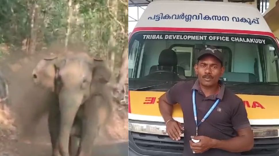 Elephant Attck Athirappilly: ആംബുലൻസിന് നേരെ പാഞ്ഞടുക്കുന്ന കാട്ടാന; ഡ്രൈവറുടെ ബുദ്ധിയിൽ രക്ഷപ്പെടൽ Elephant Attck Athirappilly: ആംബുലൻസിന് നേരെ പാഞ്ഞടുക്കുന്ന കാട്ടാന; ഡ്രൈവറുടെ ബുദ്ധിയിൽ രക്ഷപ്പെടൽ