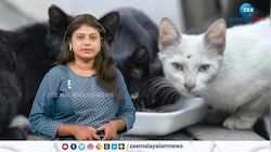 France: 159 പൂച്ചകളെയും ഏഴ് നായകളെയും വളർത്തുന്നത് ഒന്നിച്ച്