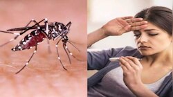 Dengue fever: ഇടവിട്ടുള്ള മഴ; ഡെങ്കിപ്പനി വ്യാപിക്കാന്‍ സാധ്യതയുണ്ടെന്ന് ആരോ​ഗ്യമന്ത്രി