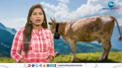 France: മൃഗങ്ങൾക്കെതിരെ കേസെടുക്കാൻ കഴിയില്ല
