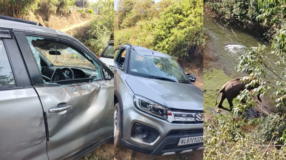 Munnar Elephant Attack: നിർത്തിയിട്ടിരുന്ന കാർ ഇടിച്ച് തകർത്ത് കാട്ടാനക്കൂട്ടം, ജനവാസ മേഖലക്ക് സമീപം ആനകൾ Munnar Elephant Attack: നിർത്തിയിട്ടിരുന്ന കാർ ഇടിച്ച് തകർത്ത് കാട്ടാനക്കൂട്ടം, ജനവാസ മേഖലക്ക് സമീപം ആനകൾ