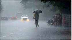 സംസ്ഥാനത്ത് മഴ മുന്നറിയിപ്പ്; ഈ 12 ജില്ലക്കാർ ഇന്ന് കുട എടുക്കാൻ മറക്കണ്ട! 