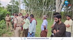 വയനാട്ടിൽ വീണ്ടും കടുവയിറങ്ങി; കൊളവള്ളി സ്വദേശി ജോസഫിന്‍റെ രണ്ട് പശുക്കളെ കടുവ ആക്രമിച്ചു കൊന്നു