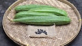 Health Benefits of Peerkangai: പൊണ്ണത്തടി മുതൽ പ്രമേഹം വരെ...! പീച്ചിങ്ങ കഴിക്കുന്നതിലൂടെ ശരീരത്തിലുണ്ടാകും അമ്പരപ്പിക്കുന്ന മാറ്റങ്ങൾ