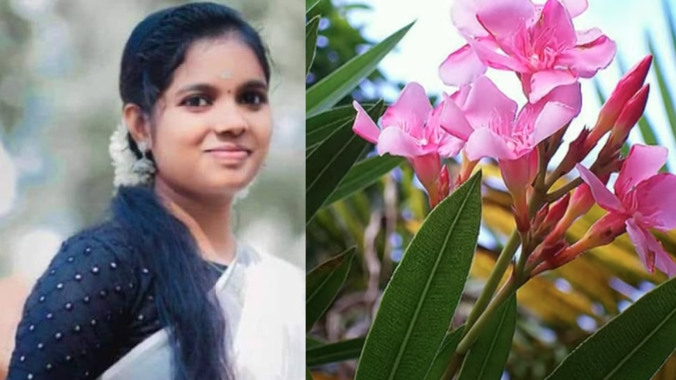 Woman Eat Arali Flower collapsed and died| Eating Arali flower Oleander ...