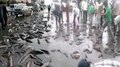 Viral Video: ഇത് വെറും മഴയല്ല... മത്സ്യമഴ; റോഡിലാകെ തുള്ളിക്കളിക്കുന്ന മീനുകൾ..! 