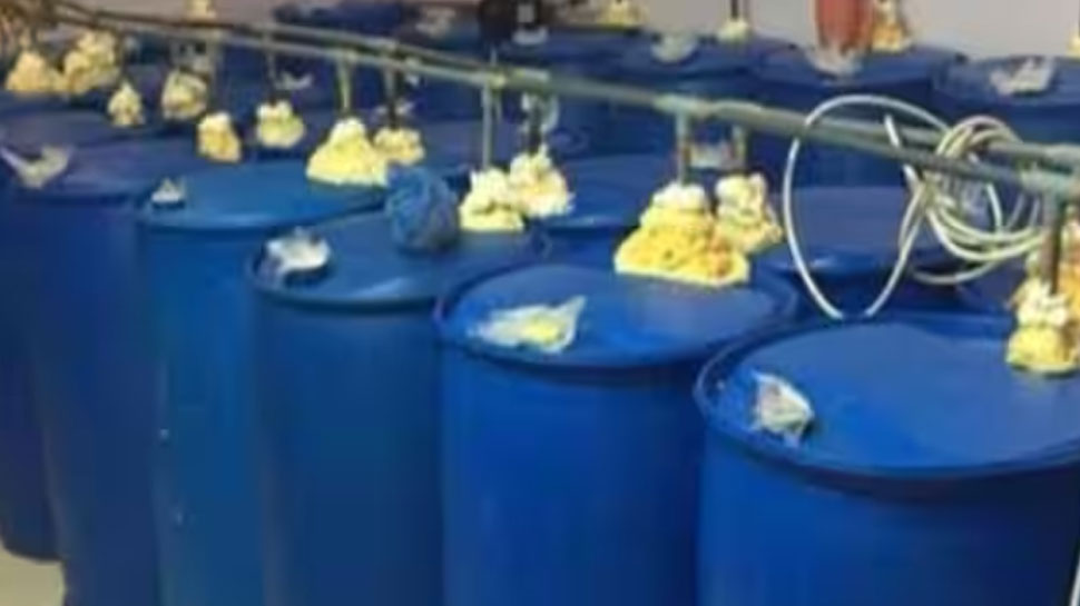 Liquor Seized: കുവൈത്തിൽ വൻ മദ്യവേട്ട; 4 പ്രവാസികൾ പിടിയിൽ Liquor Seized: കുവൈത്തിൽ വൻ മദ്യവേട്ട; 4 പ്രവാസികൾ പിടിയിൽ