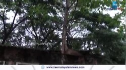 KSEB Quarters: വെളിച്ചമെത്താതെ കെഎസ്ഇബി ക്വാർട്ടേഴ്സുകൾ 