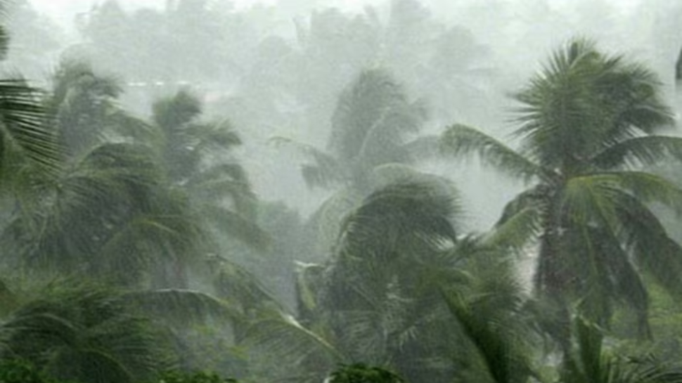 Kerala Weather: കേരളത്തിൽ മഴ കനക്കുന്നു; വിവിധ ജില്ലകളിൽ ഓറഞ്ച്, മഞ്ഞ അലർട്ടുകൾ പ്രഖ്യാപിച്ചിച്ചു Kerala Weather: കേരളത്തിൽ മഴ കനക്കുന്നു; വിവിധ ജില്ലകളിൽ ഓറഞ്ച്, മഞ്ഞ അലർട്ടുകൾ പ്രഖ്യാപിച്ചിച്ചു