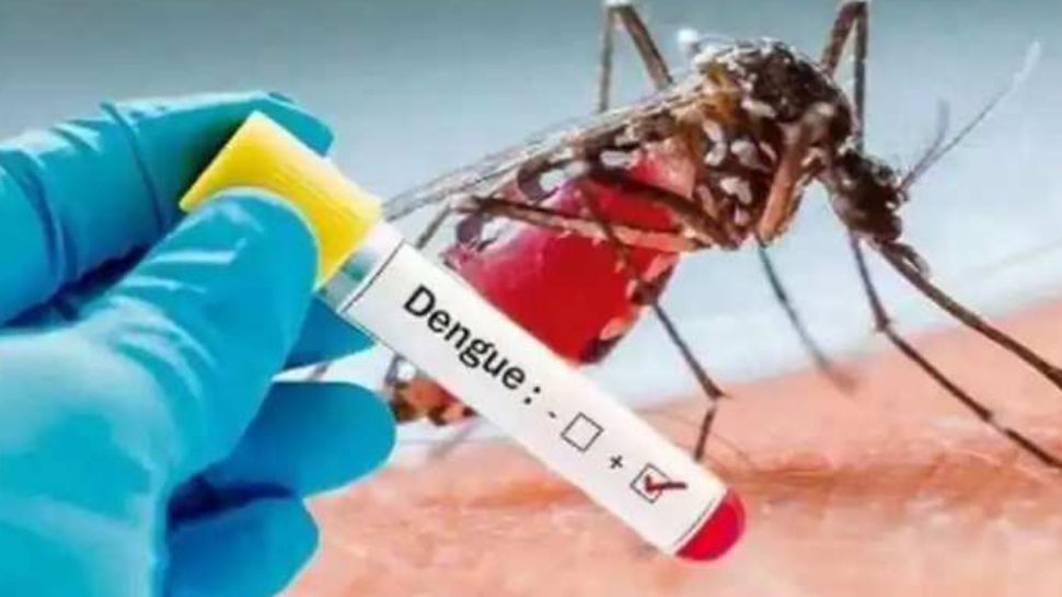 Fever Precautions: പകര്ച്ചപ്പനികള്ക്കെതിരെ ജാഗ്രത പുലര്ത്തണം; ഭക്ഷ്യ സുരക്ഷാ പരിശോധനകള് ശക്തമാക്കുമെന്ന് മന്ത്രി വീണാ ജോര്ജ് Fever Precautions: പകര്ച്ചപ്പനികള്ക്കെതിരെ ജാഗ്രത പുലര്ത്തണം; ഭക്ഷ്യ സുരക്ഷാ പരിശോധനകള് ശക്തമാക്കുമെന്ന് മന്ത്രി വീണാ ജോര്ജ്