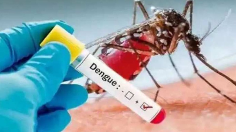 Fever Precautions: പകര്‍ച്ചപ്പനികള്‍ക്കെതിരെ ജാഗ്രത പുലര്‍ത്തണം; ഭക്ഷ്യ സുരക്ഷാ പരിശോധനകള്‍ ശക്തമാക്കുമെന്ന് മന്ത്രി വീണാ ജോര്‍ജ്