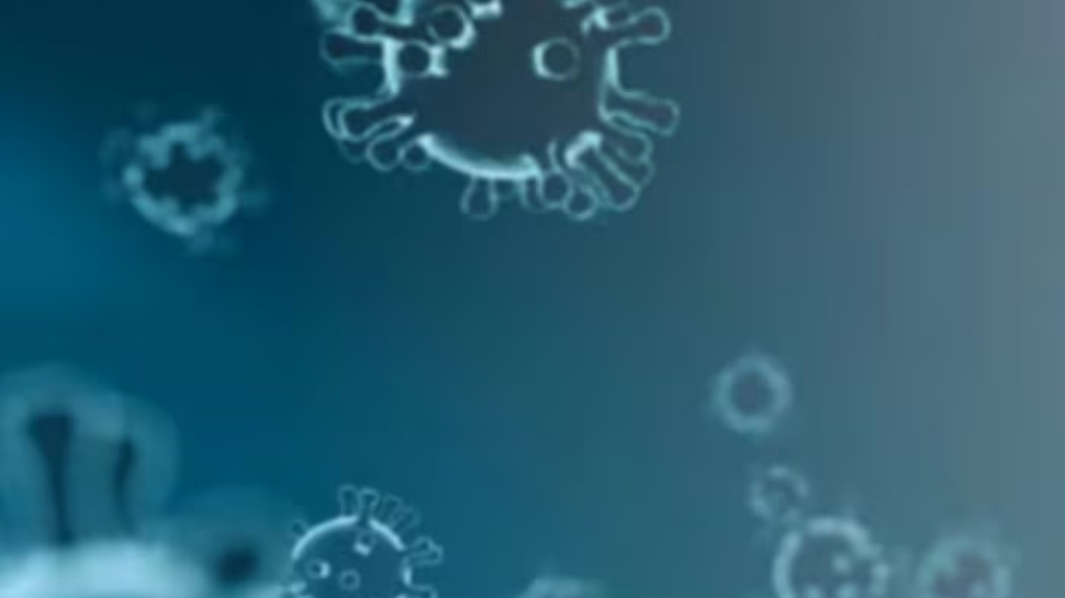 West Nile disease Death: സംസ്ഥാനത്ത് വീണ്ടും വെസ്റ്റ്നൈല് പനി മരണം West Nile disease Death: സംസ്ഥാനത്ത് വീണ്ടും വെസ്റ്റ്നൈല് പനി മരണം