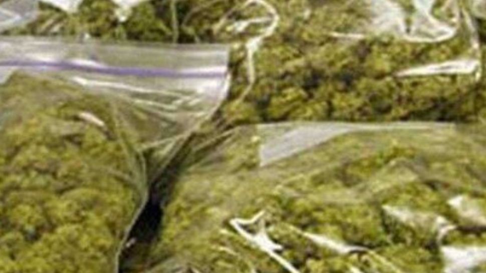 Marijuana Seized: ലോഡ്ജിൽ മുറിയെടുത്ത് കഞ്ചാവ് വിൽപന; ഒരാൾ അറസ്റ്റിൽ, രണ്ടുപേർ ഒളിവിൽ Marijuana Seized: ലോഡ്ജിൽ മുറിയെടുത്ത് കഞ്ചാവ് വിൽപന; ഒരാൾ അറസ്റ്റിൽ, രണ്ടുപേർ ഒളിവിൽ