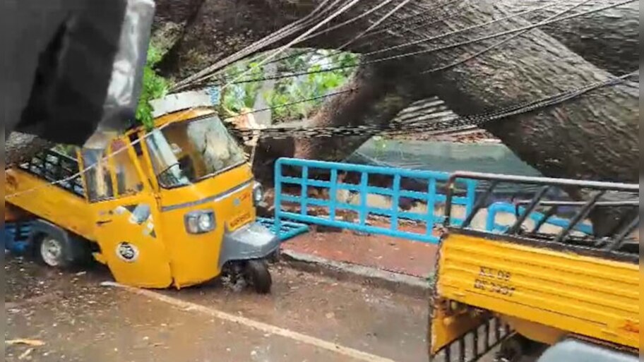 Thrissur Rain Updates: തൃശ്ശൂരിൽ വൻമരം കടപുഴകി വീണു; 2 ഗുഡ്സ് ഓട്ടോറിക്ഷകൾ തകർന്നു