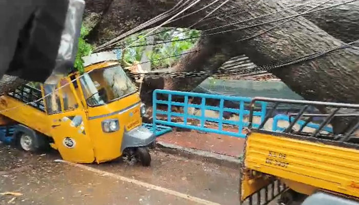 Thrissur Rain Updates: തൃശ്ശൂരിൽ വൻമരം കടപുഴകി വീണു; 2 ഗുഡ്സ് ഓട്ടോറിക്ഷകൾ തകർന്നു Thrissur Rain Updates: തൃശ്ശൂരിൽ വൻമരം കടപുഴകി വീണു; 2 ഗുഡ്സ് ഓട്ടോറിക്ഷകൾ തകർന്നു
