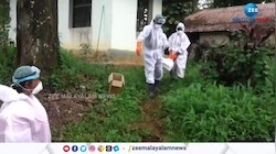 കോട്ടയത്തെ പക്ഷിപ്പനി ബാധിതമേഖലയിലെ 9691 പക്ഷികളെ ശാസ്ത്രീയമായി സംസ്‌കരിച്ചു