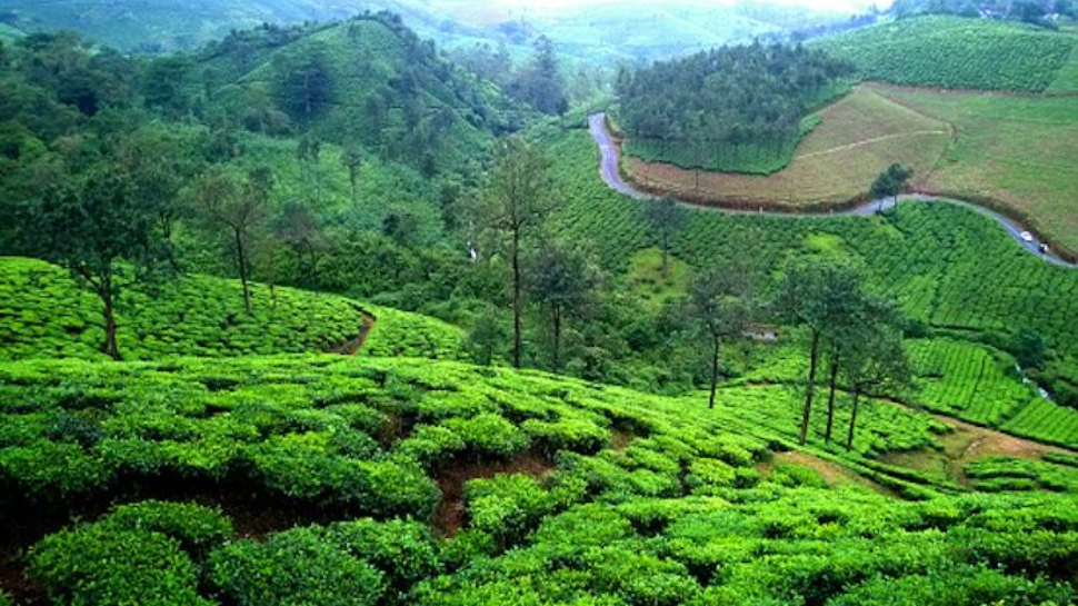 Vagamon: സഞ്ചാരികളുടെ ശ്രദ്ധയ്ക്ക്; വാഗമൺ റോഡിൽ രാത്രി യാത്ര നിരോധിച്ചു Vagamon: സഞ്ചാരികളുടെ ശ്രദ്ധയ്ക്ക്; വാഗമൺ റോഡിൽ രാത്രി യാത്ര നിരോധിച്ചു