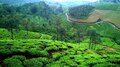 Vagamon: സഞ്ചാരികളുടെ ശ്രദ്ധയ്ക്ക്; വാഗമൺ റോഡിൽ രാത്രി യാത്ര നിരോധിച്ചു