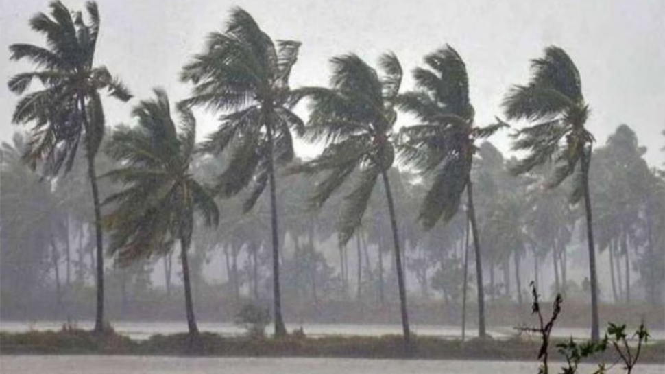Kerala rain alert: സംസ്ഥാനത്ത് മഴ മുന്നറിയിപ്പിൽ മാറ്റം; ഇന്ന് 7 ജില്ലകളിൽ ഓറഞ്ച് അലർട്ട് Kerala rain alert: സംസ്ഥാനത്ത് മഴ മുന്നറിയിപ്പിൽ മാറ്റം; ഇന്ന് 7 ജില്ലകളിൽ ഓറഞ്ച് അലർട്ട്