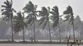 Kerala rain alert: സംസ്ഥാനത്ത് മഴ മുന്നറിയിപ്പിൽ മാറ്റം; ഇന്ന് 7 ജില്ലകളിൽ ഓറഞ്ച് അലർട്ട് 