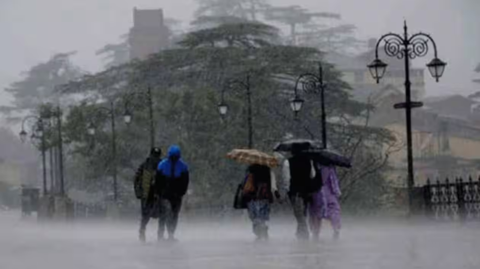 Kerala Weather: പുതുക്കിയ മഴ സാധ്യത; യെല്ലോ അലർട്ട് പ്രഖ്യാപിച്ചു, ഈ ജില്ലകളിൽ മഴ Kerala Weather: പുതുക്കിയ മഴ സാധ്യത; യെല്ലോ അലർട്ട് പ്രഖ്യാപിച്ചു, ഈ ജില്ലകളിൽ മഴ