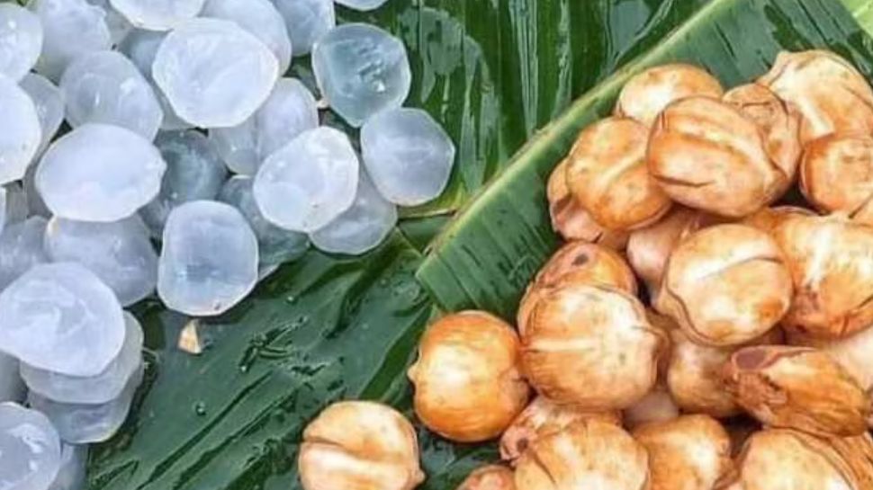 Benefits Of Ice Apple: ഹീറ്റ് സ്ട്രോക്ക് തടയുന്നത് മുതൽ ശരീരഭാരം കുറയ്ക്കുന്നത് വരെ.... നിരവധിയാണ് നൊങ്കിന്റെ ഗുണങ്ങൾ Benefits Of Ice Apple: ഹീറ്റ് സ്ട്രോക്ക് തടയുന്നത് മുതൽ ശരീരഭാരം കുറയ്ക്കുന്നത് വരെ.... നിരവധിയാണ് നൊങ്കിന്റെ ഗുണങ്ങൾ