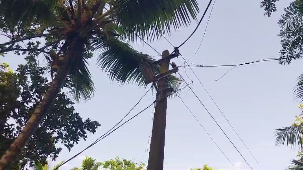 ഇരുമ്പ് തോട്ട ഇലക്ട്രിക് ലൈനിൽ തട്ടി വയോധിക മരിച്ചു ഇരുമ്പ് തോട്ട ഇലക്ട്രിക് ലൈനിൽ തട്ടി വയോധിക മരിച്ചു