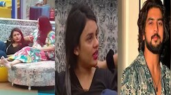 Bigg Boss Malayalam Season 6: 'ഗബ്രിയെ ഇഷ്ടമാണ് പക്ഷെ.. ഇഷ്ടം പ്രേമത്തിലെത്താതെ നോക്കുന്നു' ജാസ്മിന്റെ വാക്കുകൾ വൈറൽ!