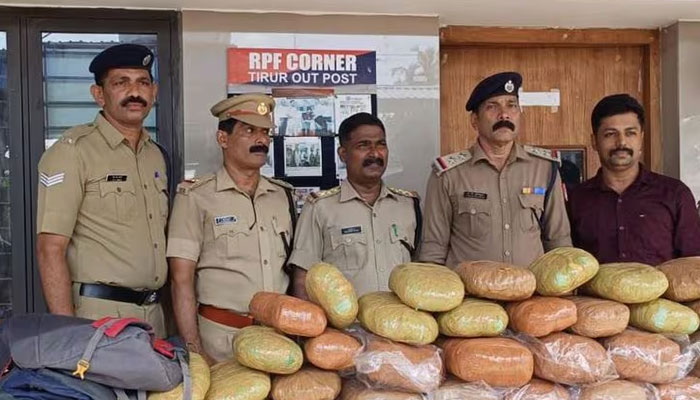 Drugs Seized: ചെന്നൈ-മംഗളൂരു മെയിലിൽ വൻ കഞ്ചാവ് വേട്ട; പിടികൂടിയത് 46 കിലോ കഞ്ചാവ് Drugs Seized: ചെന്നൈ-മംഗളൂരു മെയിലിൽ വൻ കഞ്ചാവ് വേട്ട; പിടികൂടിയത് 46 കിലോ കഞ്ചാവ്