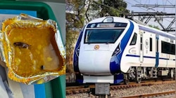 വന്ദേ ഭാരത് ട്രെയിനിൽ വിളമ്പിയ ഭക്ഷണത്തിൽ ചത്ത പാറ്റ‌; റെയിൽവേയുടെ പ്രതികരണം ഇങ്ങനെ