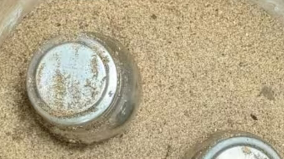 Kannur Steel Bomb: കണ്ണൂരിൽ വീണ്ടും സ്റ്റീൽ ബോംബുകൾ; കണ്ടെടുത്തത് പൊലീസ് പരിശോധനയ്ക്കിടെ
