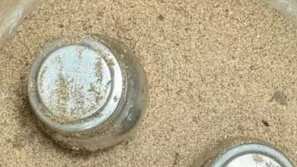 Kannur Steel Bomb: കണ്ണൂരിൽ വീണ്ടും സ്റ്റീൽ ബോംബുകൾ; കണ്ടെടുത്തത് പൊലീസ് പരിശോധനയ്ക്കിടെ Kannur Steel Bomb: കണ്ണൂരിൽ വീണ്ടും സ്റ്റീൽ ബോംബുകൾ; കണ്ടെടുത്തത് പൊലീസ് പരിശോധനയ്ക്കിടെ