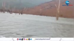 Tiger: ബാണാസുര അണക്കെട്ടിലൂടെ നീന്തി പോകുന്ന കടുവയുടെ ദൃശ്യങ്ങൾ