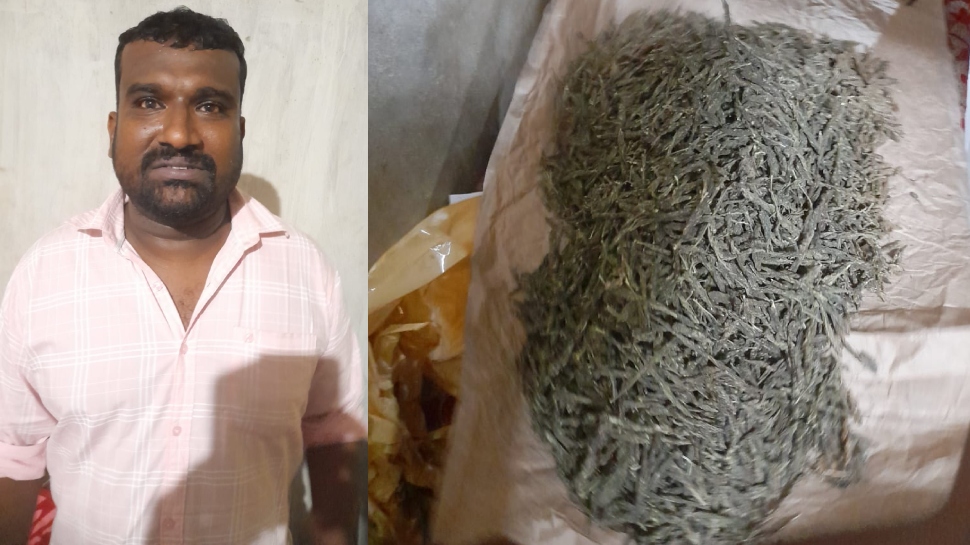 Marijuana Seized: സ്ഥിരമായി കൊറിയർ എത്തുന്നു, നിരീക്ഷണം; കഞ്ചാവുമായി യുവാവ് അറസ്റ്റിൽ Marijuana Seized: സ്ഥിരമായി കൊറിയർ എത്തുന്നു, നിരീക്ഷണം; കഞ്ചാവുമായി യുവാവ് അറസ്റ്റിൽ