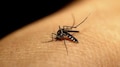 Contagious diseases: പകർച്ചവ്യാധി പ്രതിരോധം; ഉറവിട നശീകരണം ശക്തമാക്കാൻ തീരുമാനം